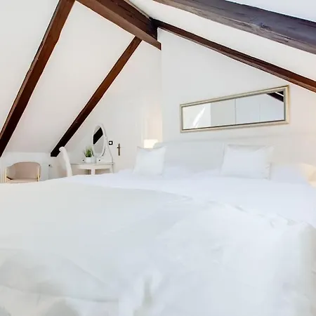 Wenceslas Square Royal Praga